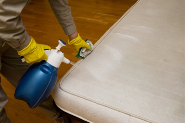 A Professional Cleaning Service Can Deep Clean Your Mattress For You