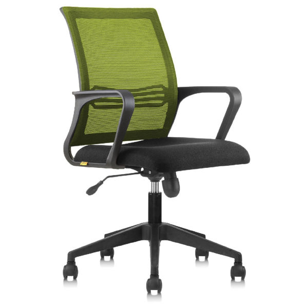 APEX Ergonomic Modern Office Low-back Chair C-PIX-L5