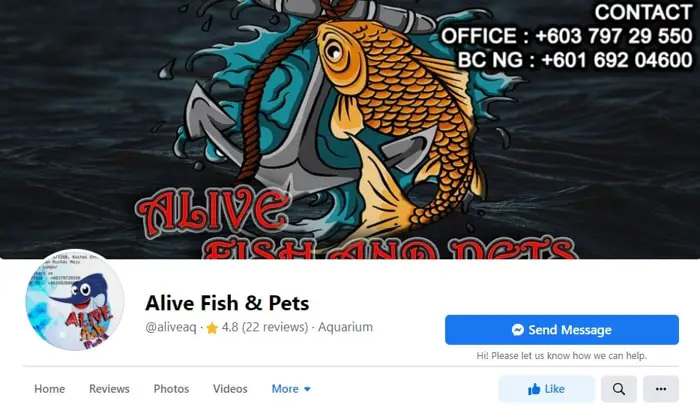 Alive Fish and Pets - Facebook