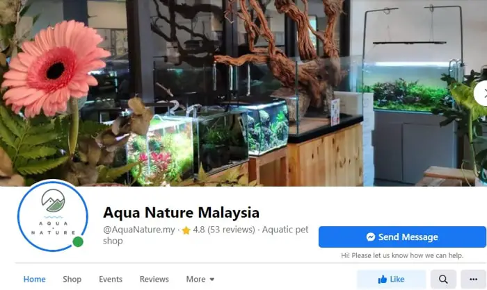 Aqua Nature Malaysia - Nature Aquarium Aquascaping Gallery - Facebook