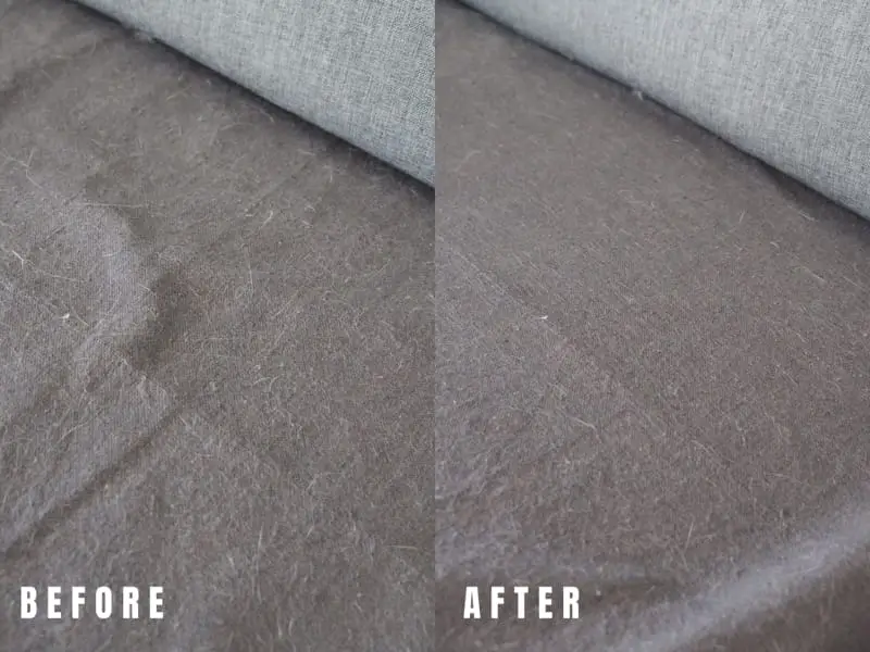 Before And After Of Using The Corvan K18 On A Sofa Covered With Cat Fur (Highest Suction Setting)