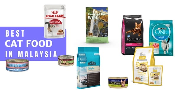 You are currently viewing 15 Best Cat Food Malaysia 2022: How To Choose (Premium Brands Included)