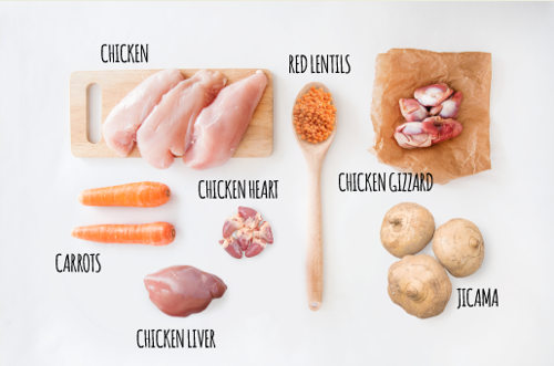 Chicken Jicama Ingredients - Gourmet