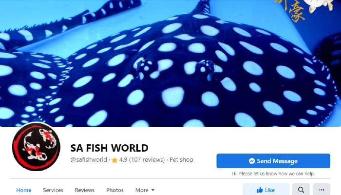 Facebook Page Of SA Fish World (Aquatic Shop Shah Alam) - Facebook