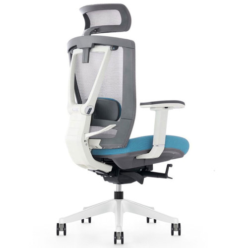 Flexispot ErgoChair 2.0 Ergonomic Office Chair - Back