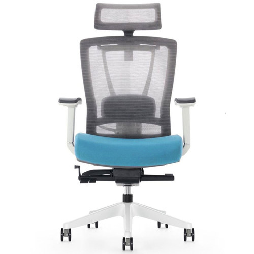 Flexispot ErgoChair 2.0 Ergonomic Office Chair - Front