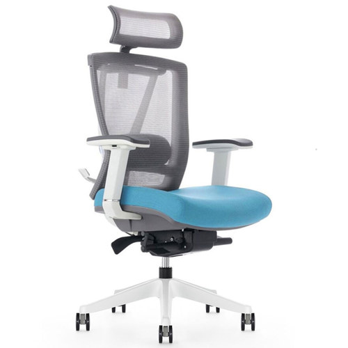 Flexispot ErgoChair 2.0 Ergonomic Office Chair