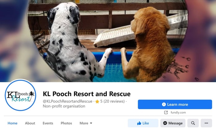 KL Pooch Resort And Rescue Facebook