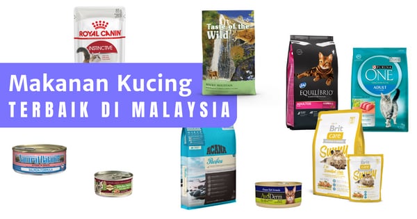 You are currently viewing 15 Makanan Kucing Terbaik Di Malaysia 2022 (Ulasan Penuh & Jenama Yang Bagus)