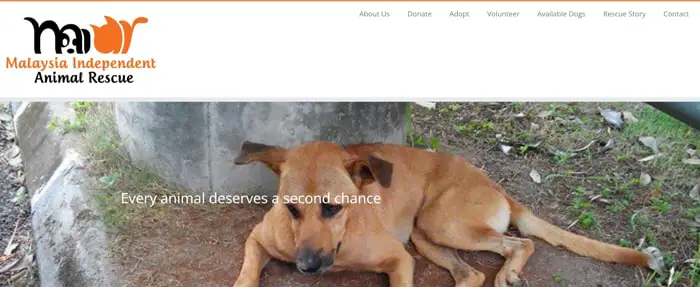 Malaysia Independent Animal Rescue (MIAR) Website