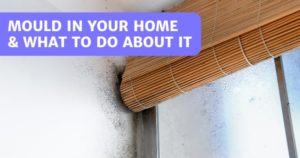 Read more about the article Mould In Your Home And What To Do About It