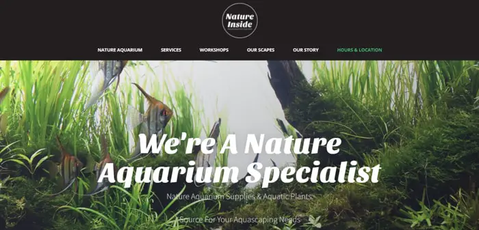 Nature Inside - Website