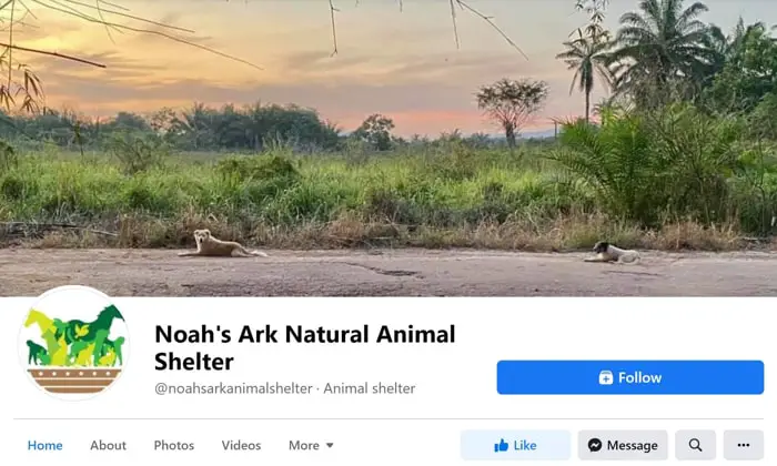 Noah's Ark Natural Animal Sanctuary Facebook