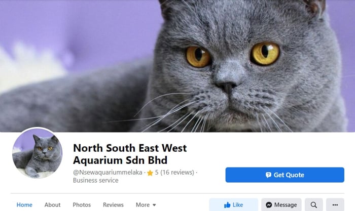 North South East West Aquarium - Facebook