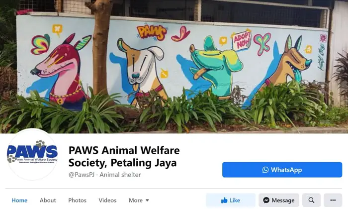 PAWS Animal Welfare Society (Petaling Jaya) Facebook