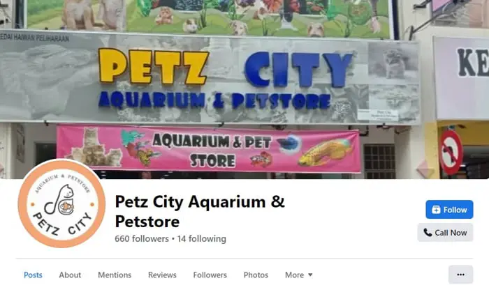 PETZ CITY AQUARIUM & PETSTORE - Facebook