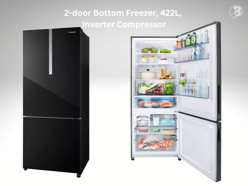 Panasonic NR-BX421 2-door Bottom Freezer Refrigerator