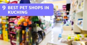 Read more about the article 9 Top Pet Shops In Kuching For Pet Food & Pet Supplies