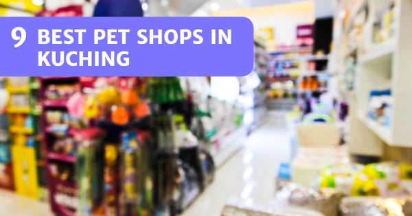 You are currently viewing 9 Top Pet Shops In Kuching For Pet Food & Pet Supplies