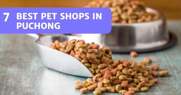 You are currently viewing 7 Pet Shops In Puchong 2022 To Get Quality Pet Supplies From