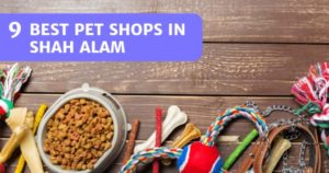 Read more about the article 9 Pet Shops In Shah Alam 2022 – Go To For Pet Supplies