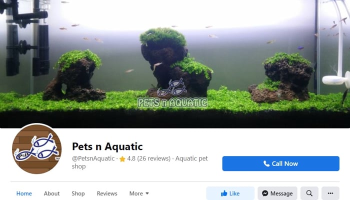 Pets N Aquatic - Facebook