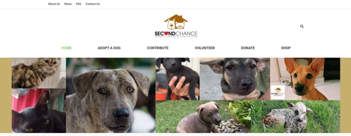 Second Chance Animal Shelter Malaysia Website
