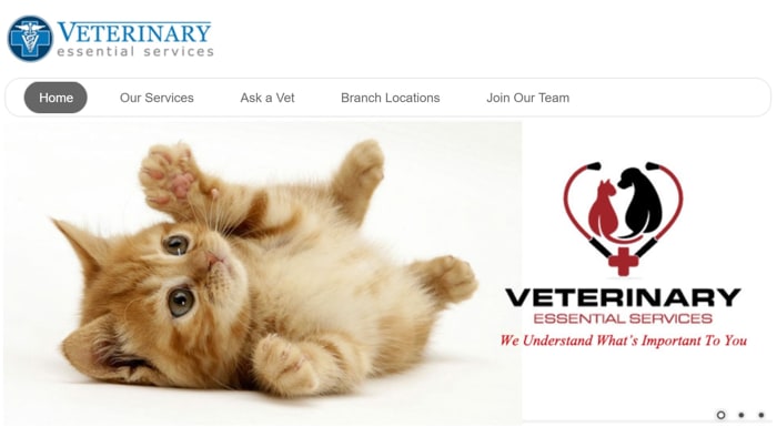 Veterinary Clinic & Surgery Website
