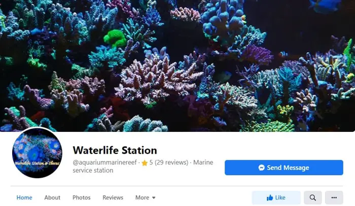 Waterlife Station Aquarium Shop - Facebook