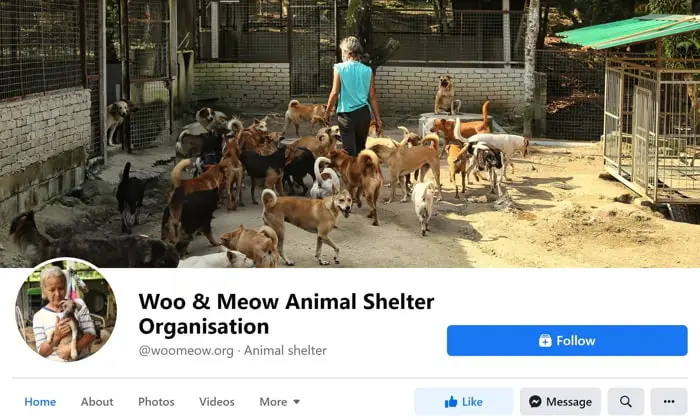 Woo & Meow Animal Shelter Organisation Facebook