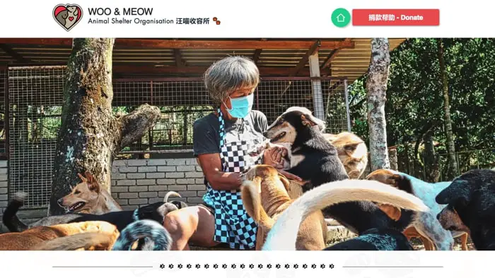 Woo & Meow Animal Shelter Organisation Website